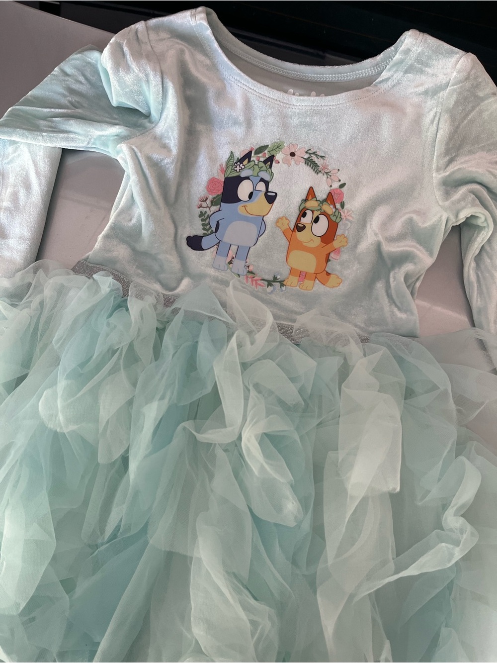 Bluey Toddler Girl 5T Light Aqua Tulle Skirt Dress with Bluey & Bingo